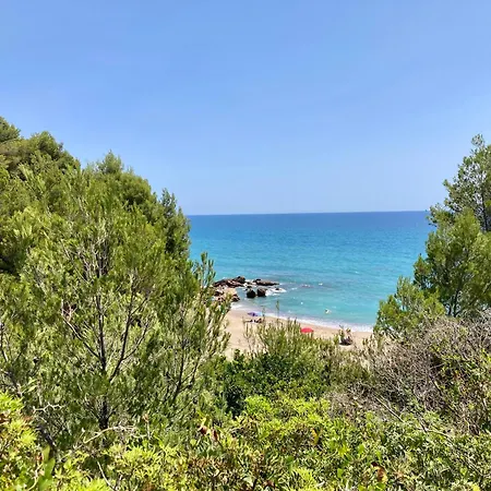 Miami Playa Sirens * Mont-roig del Camp